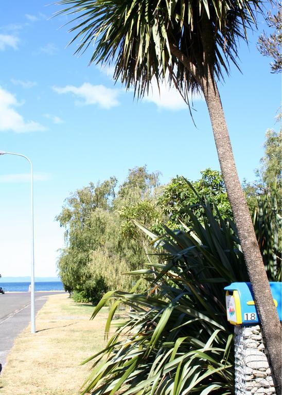Bed and Breakfast Tongariro Adventures Kuratau Экстерьер фото